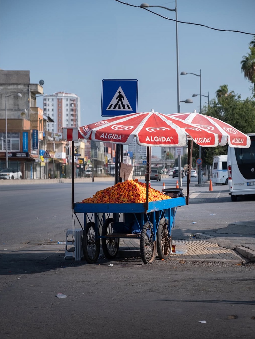 Manav — renk ve gündelik yaşam fotoğrafı